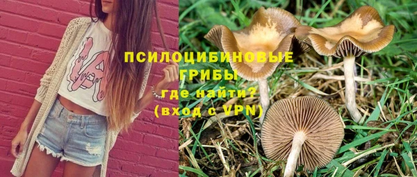 сатива Балахна