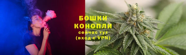 сатива Балахна