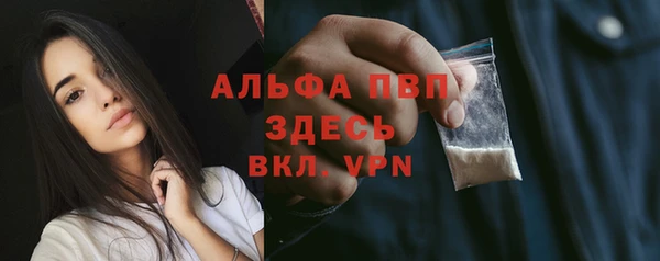 сатива Балахна