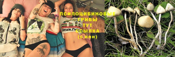 тгк Балабаново
