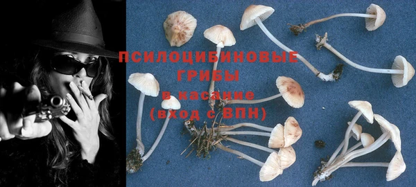 эйфоретик Армянск