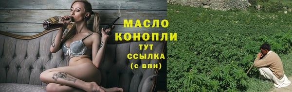 сатива Балахна