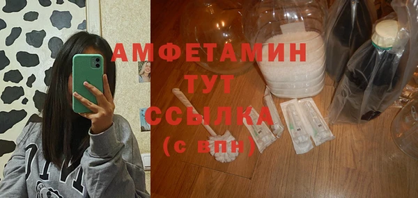 сатива Балахна