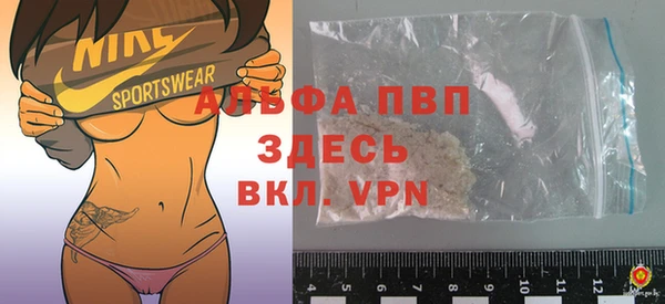 сатива Балахна