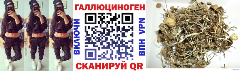 хочу наркоту  Макарьев  Галлюциногенные грибы Psilocybe 